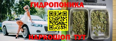 гидра Донецк