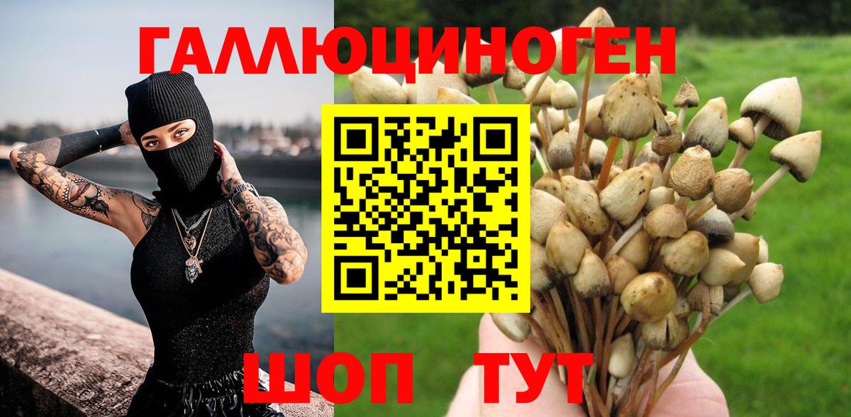 Муром  Псилоцибиновые грибы Cubensis  Вход с VPN 